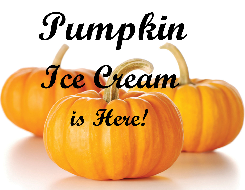 Pumpkin Ice Cream